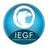 Logo - Instituto Educacional Global Fenix – IEGF
