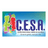 Logo Centro Educacional Saberes do Aquarela – CESA