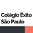 Logo Colégio Êxito São Paulo