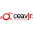 Logo - Ceav Jr – Jequitibá