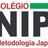 Logo - Colégio Nippo