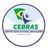 Logo Cebras - Centro Educacional Brasileiro