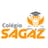 Logo - Colégio Sagaz