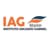 Logo - Instituto Arcanjo Gabriel