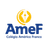 Logo - Colégio Américo Franco