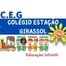 Colegio Estação Girassol