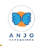 Escola Anjo Sapequinha