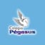 Logo - Logo Colégio Pégasus