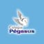 Logo - Logo Colégio Pégasus - Unidade Ii