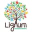 Logo - Logo Escola Lignum