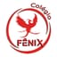 Logo - Logo Colégio Fênix