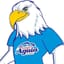 Logo - Logo Colégio Águia Unidade I