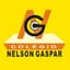 Logo - Logo Colégio Nelson Gaspar