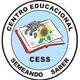 Logo - Centro Educacional Semeando Saber