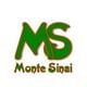 Logo - Escola Monte Sinai