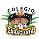 Logo - Colégio Caraguatá