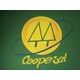 Logo - Cooperativa Educacional De Salinas – Coopesal