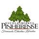 Logo - Escola Pinheirense