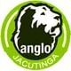 Logo - Colégio Anglo Jacutinga