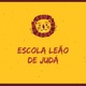 Logo - Escola Leão De Judá