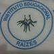 Logo - Instituto Educacional Raízes