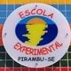 Logo - Escola Experimental