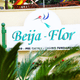 Logo - Beija Flor Berçário E Pré- Escola