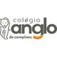 Logo - Colégio Anglo De Campinas