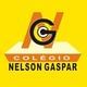 Logo - Colégio Nelson Gaspar