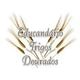 Logo - Educandário Trigos Dourados Logo - Educandário Trigos Dourados