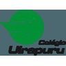 Logo - colégio uirapuru