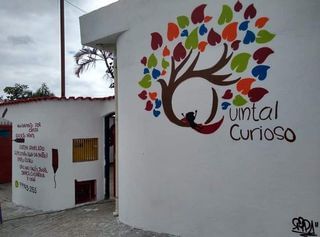 Quintal Curioso Unidade Ii - Imagem 1