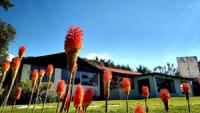 Escola Como Viver - Imagem 3