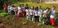 Colegio Objetivo Iracemapolis-escola De Educação Infantil Alegria - Imagem 1