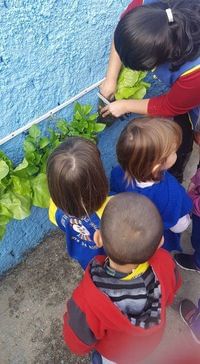 Centro De Educação Infantil Trem Da Alegria - Imagem 2