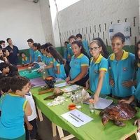 Centro educacional Brasileiro - Imagem 1