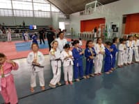 Escola Mundo De Sofia - Objetivo Alto Da Lapa - Imagem 1