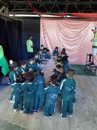 Escola De Educação Infantil Rin Tin Tin - Imagem 2