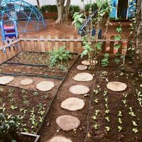 Espaço Singular Berçario E Educação Infantil - Imagem 1