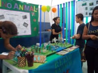 Centro Educacional Valverde - Imagem 3