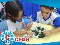 Colégio Ceas – Centro Educacional Alegria Do Saber - Imagem 1