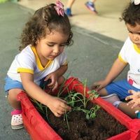 Crescer Centro De Educação Integral - Imagem 1