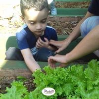 Colégio Modelo De Educação Infantil E Ensino Fundamental De Franca - Imagem 3