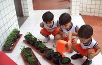 Escola Abc Rio Vermelho - Imagem 2