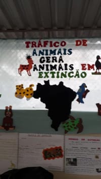 Centro De Ensino Criativo - Imagem 3
