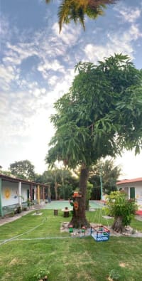Tio Jaime Creche Escola - Imagem 1