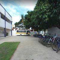 Instituto Patrícia Costa - Imagem 2