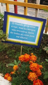 Mestre Colégio Iniciação Educacional - Imagem 2