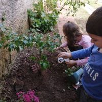 Escola De Educação Infantil Pimpolho Feliz - Imagem 1