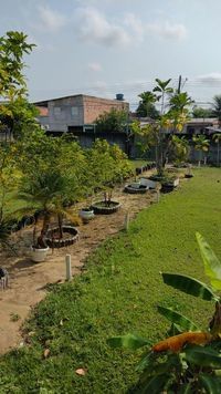 Instituto Batista Do Amazonas - Novo Aleixo - Imagem 3